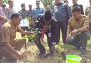 Peringati Hari Bhakti Rimbawan, Pemprov Papua Barat Tanam 500 Pohon