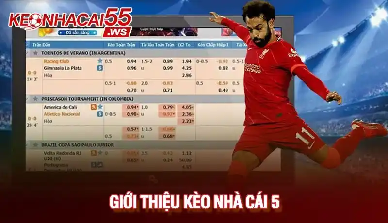 Kèo Nhà Cái 5 - Tỷ lệ kèo bóng đá trực tuyến hôm nay 8 Giới thiệu kèo nhà cái 5