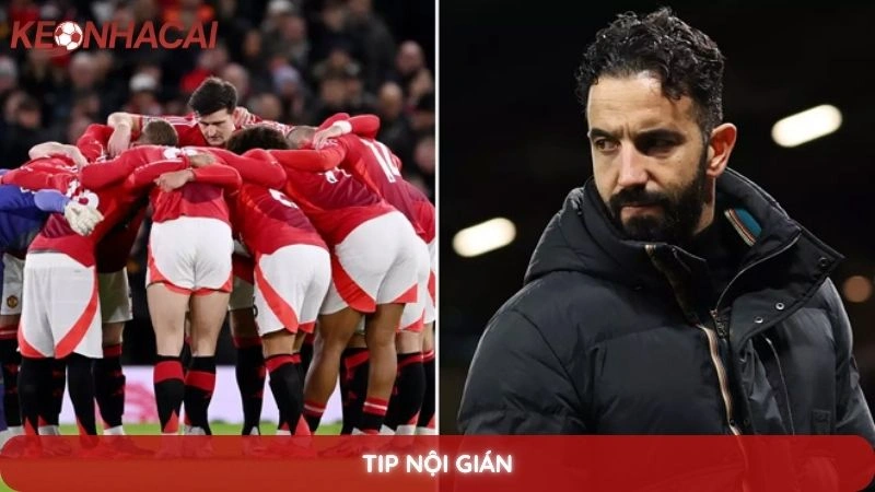 Tip nội gián