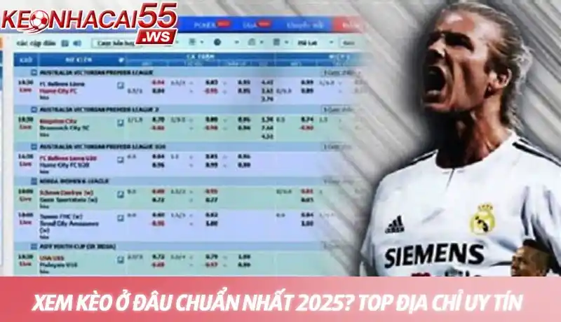 Xem kèo ở đâu chuẩn nhất 2026? Top địa chỉ uy tín được hé lộ 6 Xem kèo ở đâu chuẩn nhất - Top địa chỉ uy tín được hé lộ